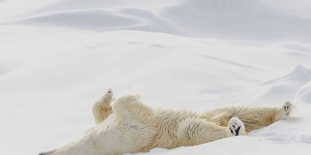 Profondo NorD, la mostra fotografica di Roberto Cella